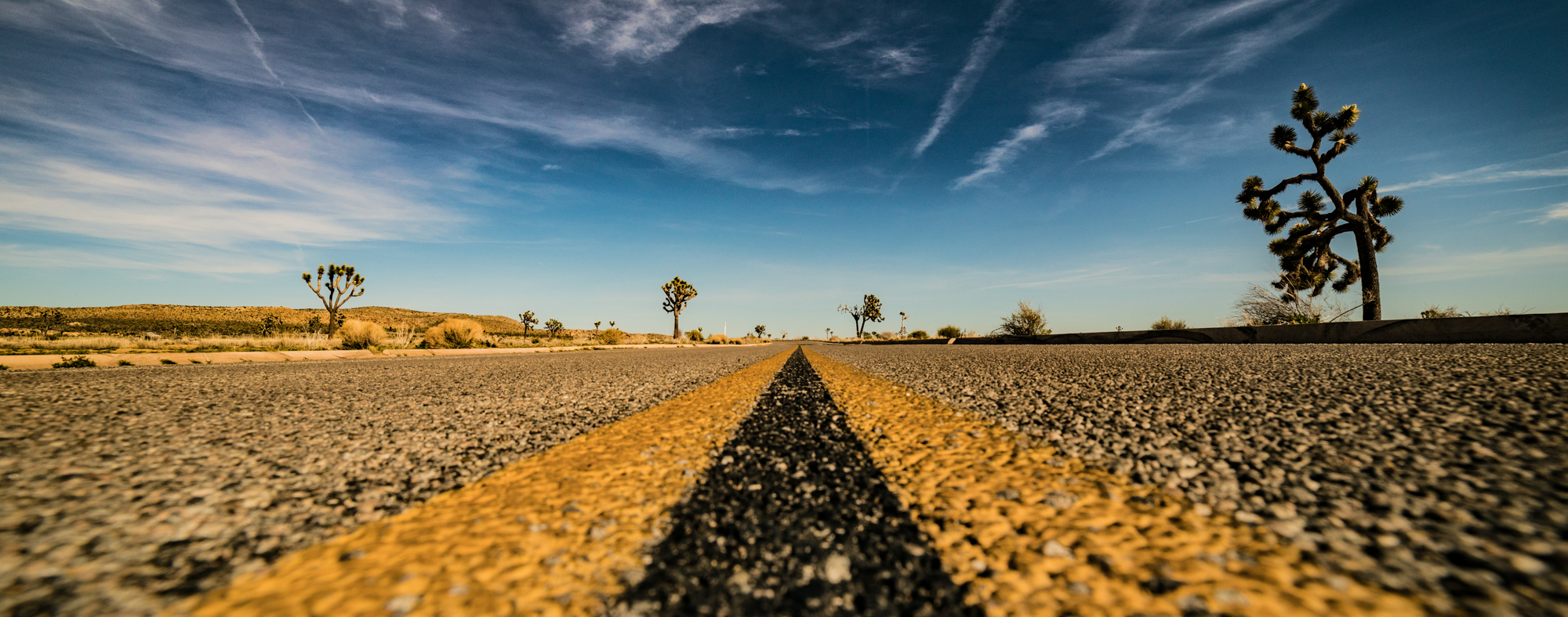 Joshua Tree, 2007 — Tom Lichtenwalter